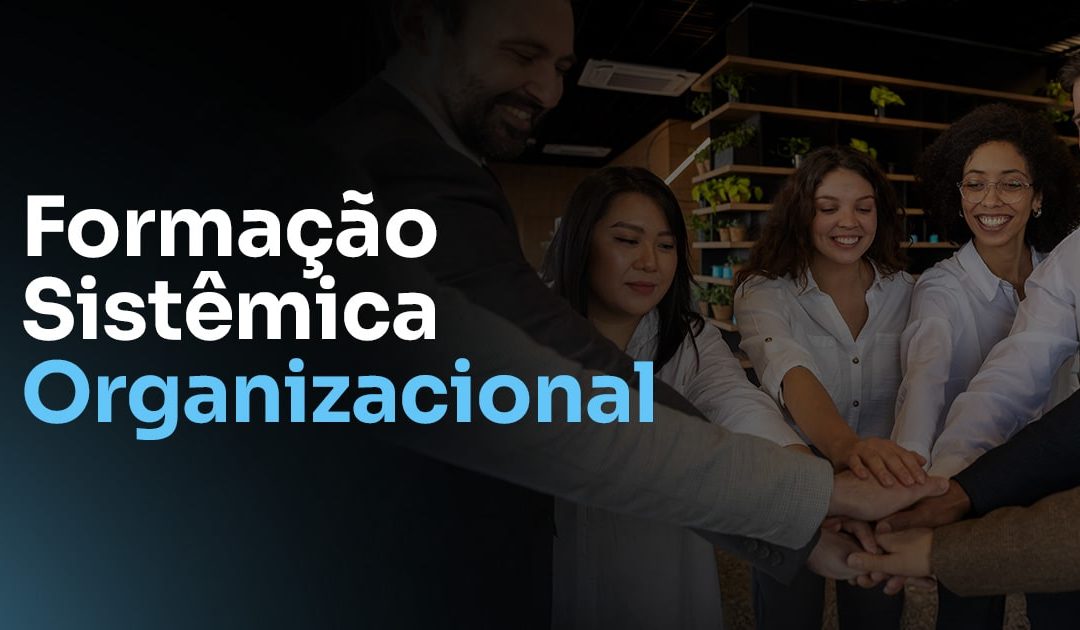 Formação Sistêmica Organizacional